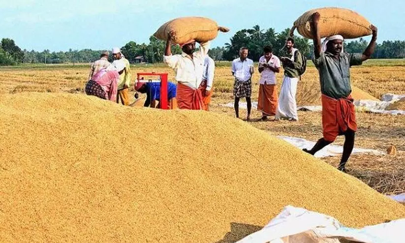 നെല്ല് സംഭരണത്തിലെ അഴിമതി: വിജിലൻസിന്റെ സംസ്ഥാന വ്യാപക മിന്നൽ പരിശോധന