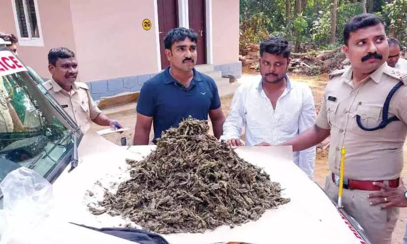 അഞ്ച് കിലോ കഞ്ചാവുമായി ബംഗാൾ സ്വദേശി പിടിയിൽ