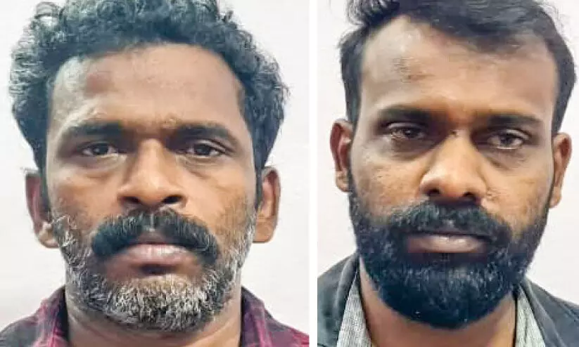 theft cases, accused arrest