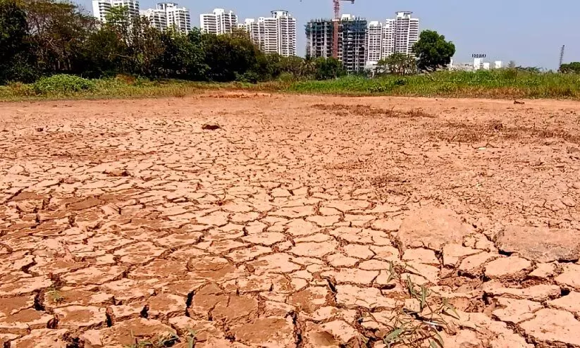 രാത്രിയും ചൂട്​ കൂടുന്നു; സംസ്ഥാനം അത്യുഷ്ണത്തിലേക്ക്