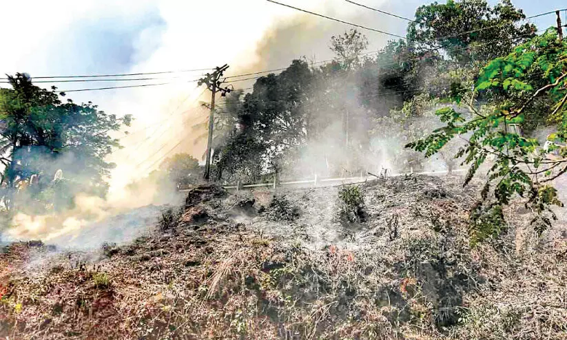 ട്രാൻസ്ഫോർമറിൽനിന്ന് തീപ്പൊരി വീണ്  അടിക്കാടിന് തീപിടിച്ചു