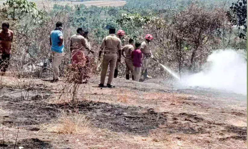 പു​ൽ​ക്കാ​ടു​ക​ൾ​ക്ക് തീ​പി​ടി​ച്ചു