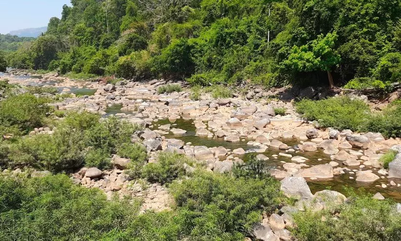 ബാരാപോൾ പുഴയിൽ നീരൊഴുക്ക് കുറഞ്ഞു: വൈദ്യുതി ഉൽപാദനം നിർത്തി