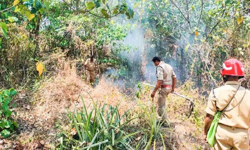 കന്നിമലയിൽ ക്വാറിക്ക്​ സമീപം തീപിടിത്തം