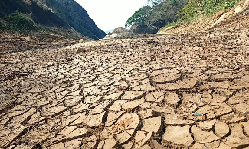 ക​ഴു​തു​രു​ട്ടി​യാ​ർ