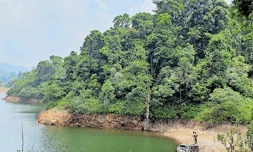 സംസ്ഥാനതല അന്താരാഷ്ട്ര വനദിനാചരണം നാളെ മുഖ്യമന്ത്രി ഉദ്ഘാടനം ചെയ്യും