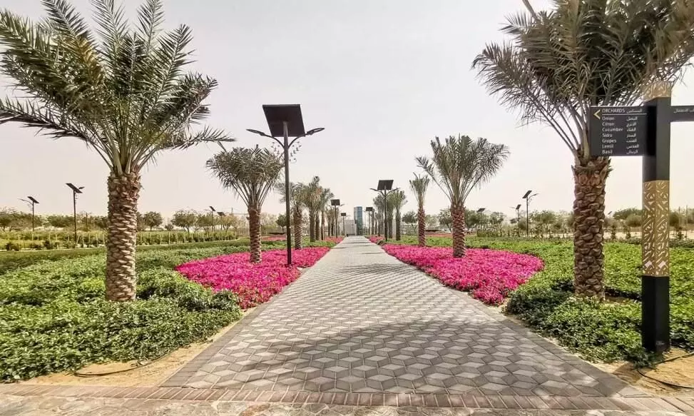 Dubai Park