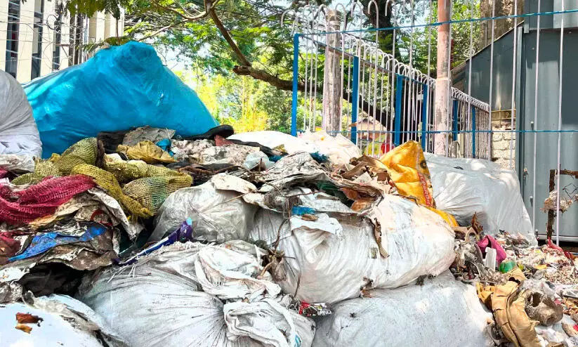 മുതലക്കുളം ‘മാലിന്യക്കളം’