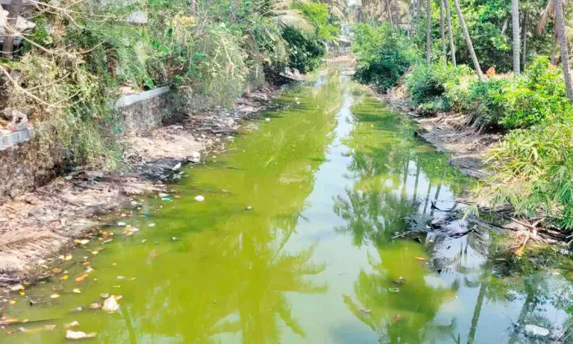 തീരാദുരിതം; ആവിക്കൽതോടിന് ശാപമോക്ഷമില്ല