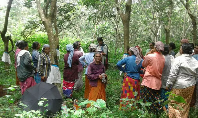 അനധികൃതമായി ലഭിച്ച തൊഴിലുറപ്പ് വേതനം തിരിച്ചടയ്ക്കാൻ ഉത്തരവിട്ട് ഓംബുഡ്സ്മാൻ