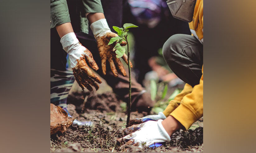 “Muscat’s Environmental Authority Plants 4,200 Forest Trees in South Bathina Governorate”