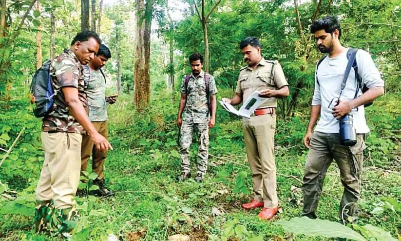 ആന സെൻസസിന് തുടക്കം