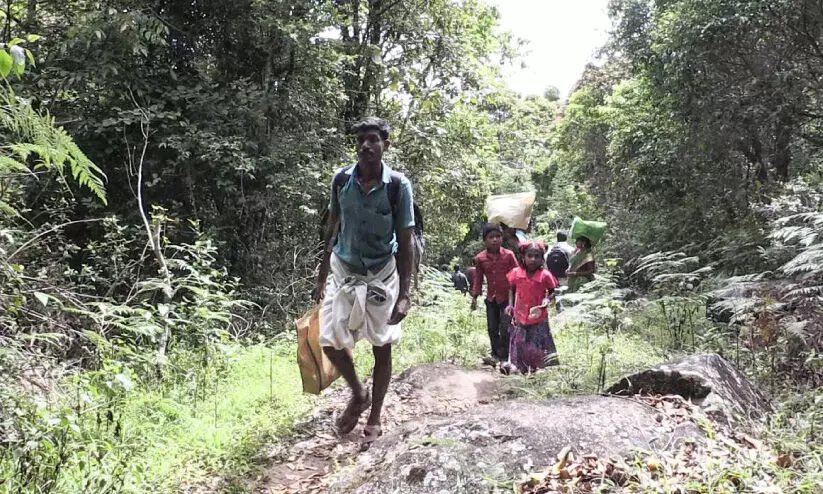 ആദിവാസിക്കുടികളിൽ പദ്ധതികൾക്ക്​ പഞ്ഞമില്ല; വഴിയും വെളിച്ചവും അന്യം