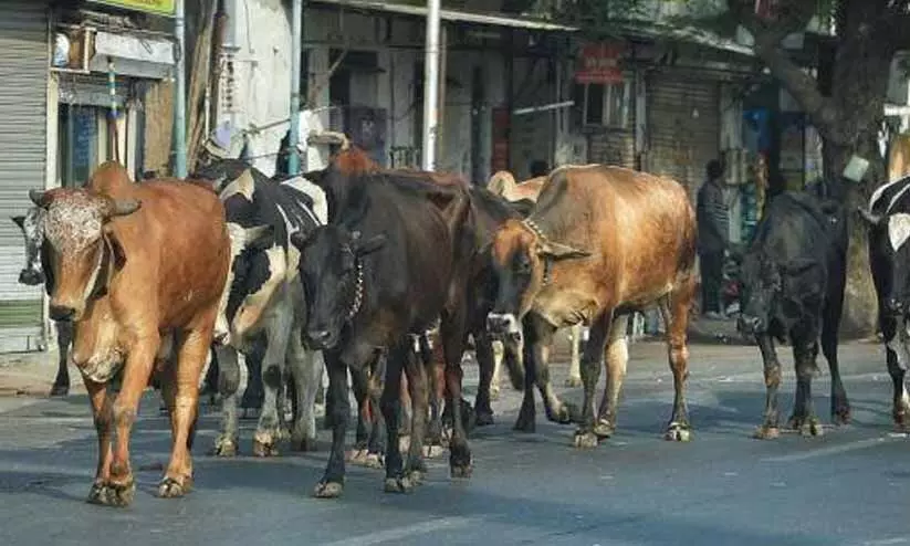 പ​ശു​ര​ക്ഷാ ഗു​ണ്ട​ക​ളു​ടെ ആ​ക്ര​മ​ണം പൊ​ലീ​സ് ഇ​ട​പെ​ട്ടി​ല്ലെ​ന്ന് വ​സ്തു​താ​ന്വേ​ഷ​ക​ർ