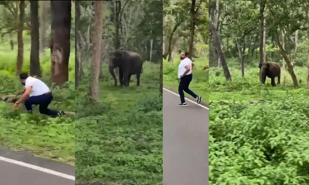 കാട്ടിൽ കയറി പടമെടുക്കാൻ ശ്രമിച്ചയാളെ കാട്ടാന ഓടിച്ചു, വനം വകുപ്പ് കേസെടുത്ത് പിഴയടപ്പിച്ചു; സംഭവം വയനാട്ടിൽ -VIDEO