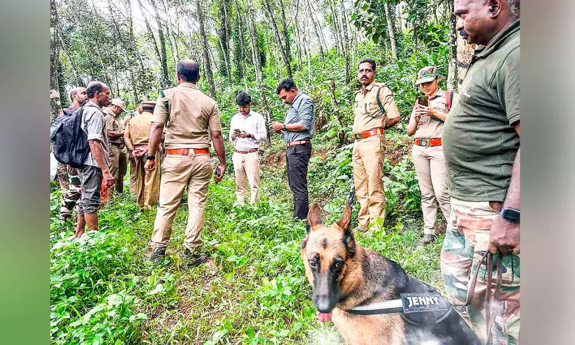 സ്‌​ഫോ​ട​ക വ​സ്തു​ക്ക​ൾ ഉ​പ​യോ​ഗി​ച്ച്​ കൊ​ല്ലു​ന്ന​ത്​ വ്യാ​പ​​കം വന്യമൃഗങ്ങൾ അസ്വാഭാവികമായി ചത്തൊടുങ്ങുന്നു