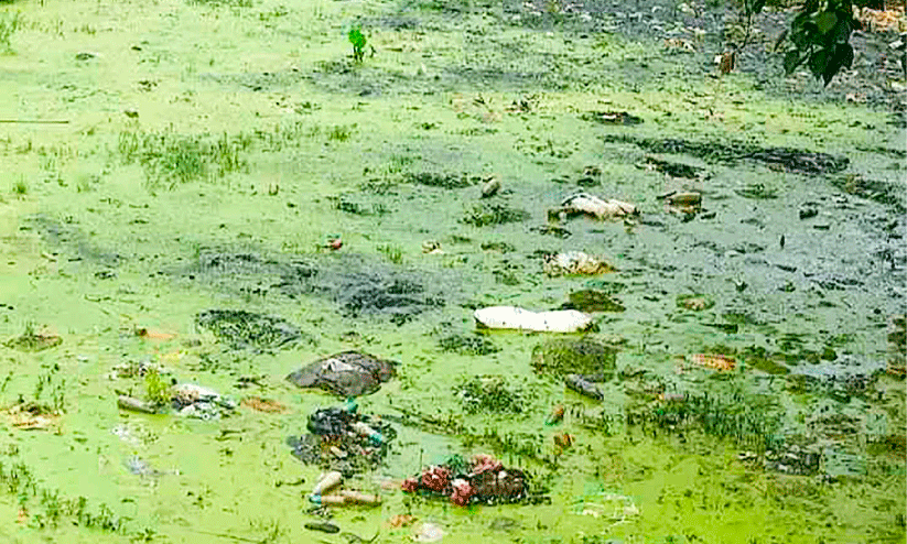 Ponds In Pandalam