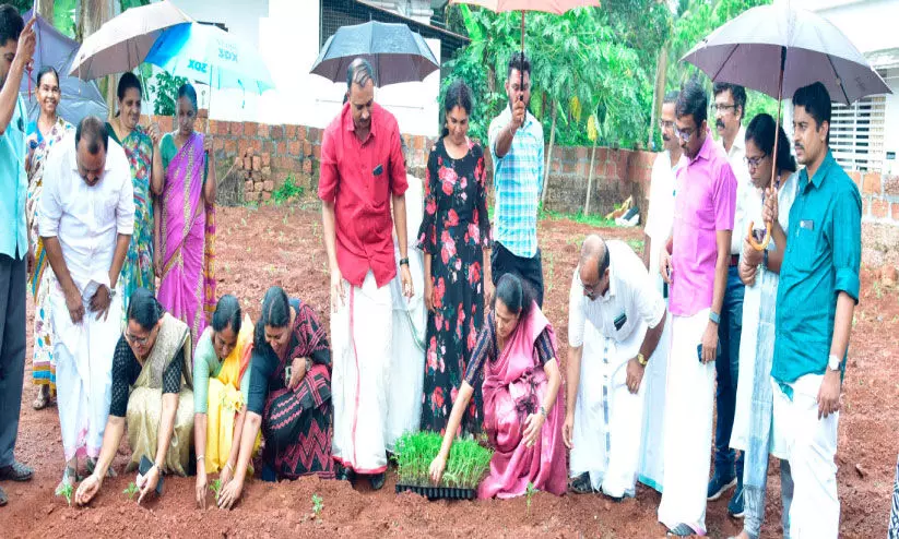 ഓണത്തിന് പൂക്കൊട്ട നിറയും