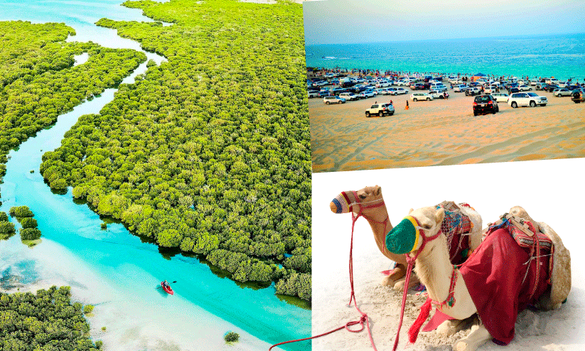 beaches of Qatar