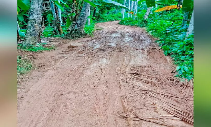 ച​ളി​ക്കു​ള​മാ​യി റോ​ഡ്; ദു​രി​തം പേ​റി നാ​ട്ടു​കാ​ർ