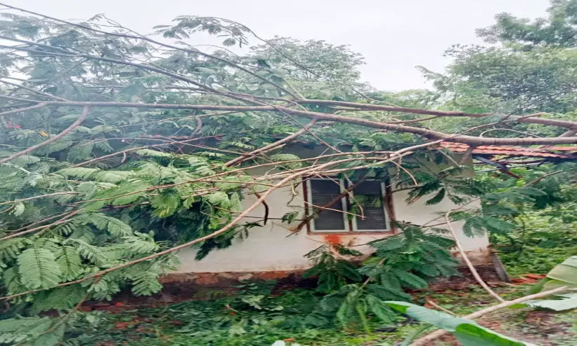 മഴയിൽ വീടിനുമേൽ മരംവീണു