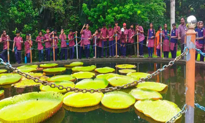 ശാസ്ത്രപാഠങ്ങൾ നേരിട്ട് പഠിക്കാൻ വിദ്യാർഥികൾ