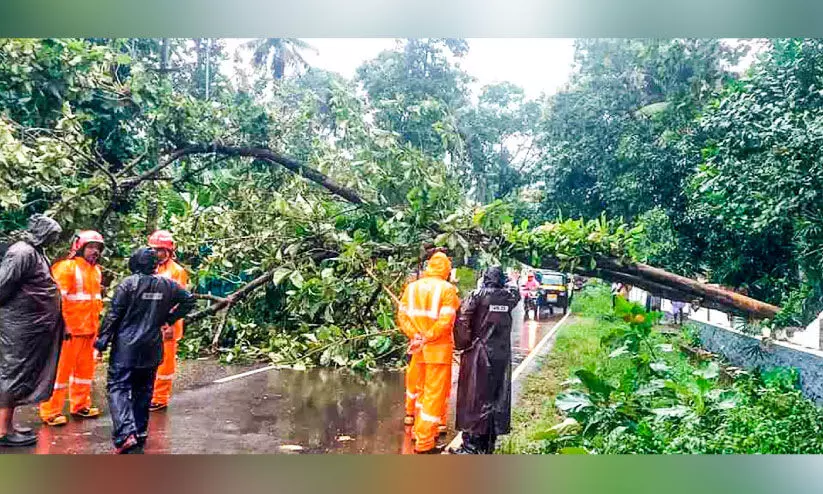 കനത്ത മഴ; മലയോര മേഖലകളിൽ കെടുതികൾ രൂക്ഷം