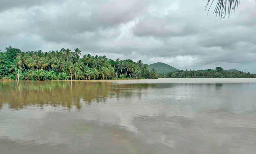 Thuruthu In Ayancherry