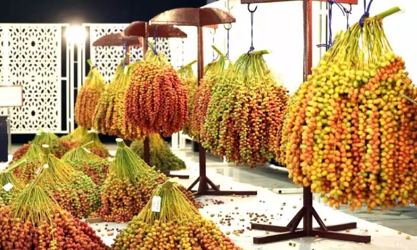 dates palm market