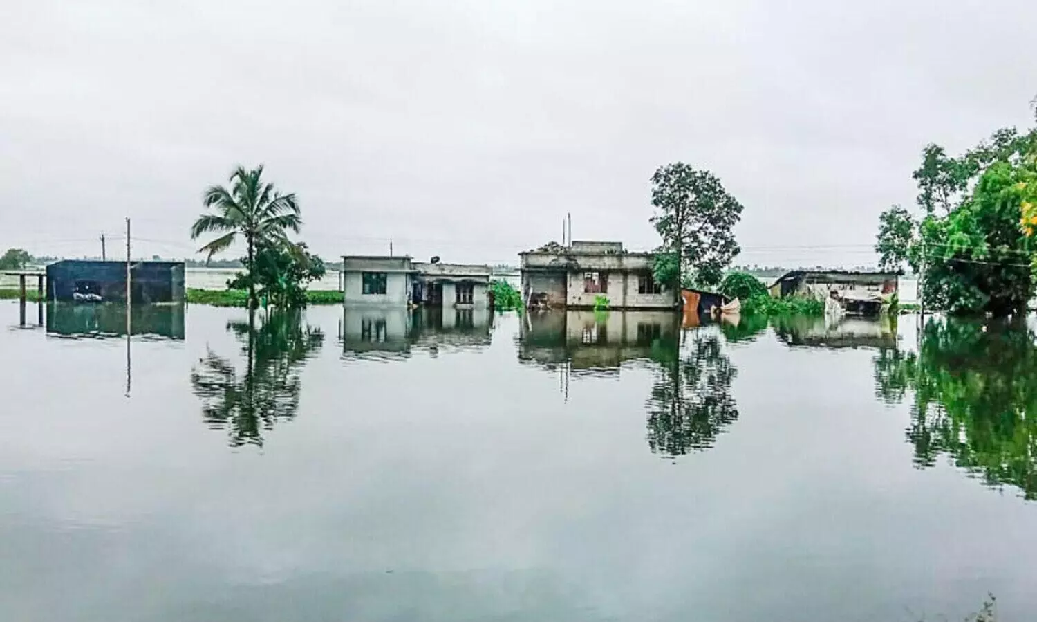 കോട്ടയം, കുട്ടനാട് താലൂക്കിലെ വിദ്യാഭ്യാസ സ്ഥാപനങ്ങൾക്ക് നാളെ അവധി