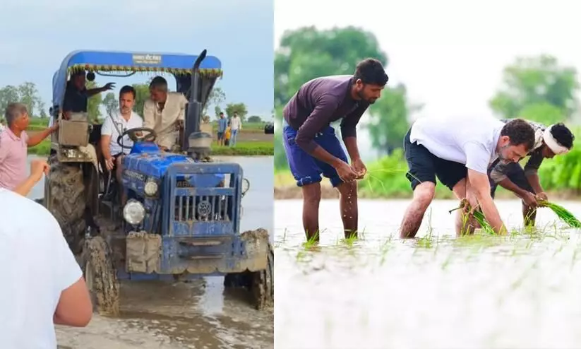 Rahul Gandhi meets farmers, drives tractor, sows seeds in Haryanas Sonepat