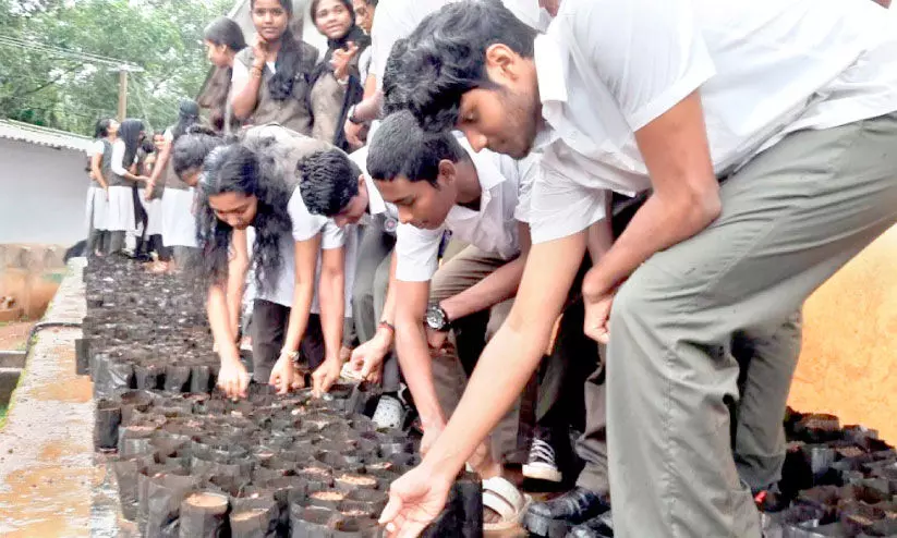 ജയശ്രീ സ്‌കൂളിന് ഇനി സ്വന്തം ഫലവൃക്ഷ നഴ്സറിയും