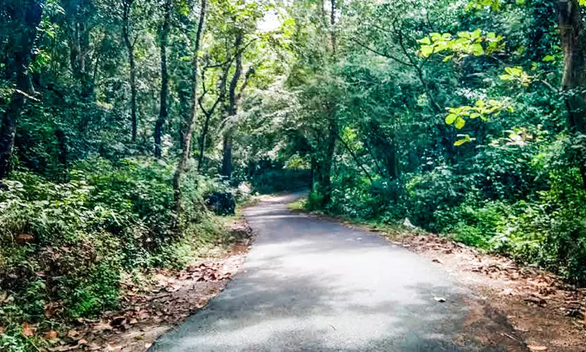 വികസനം വഴിതൊടാതെ അത്തിക്കയം-കുടമുരുട്ടി റോഡ്