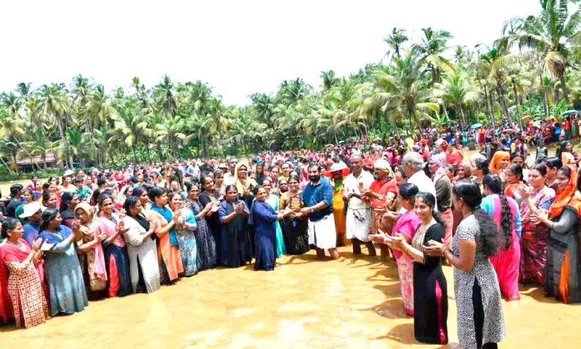 കാവുഞ്ചിറ വയലിൽ ഉത്സവപ്പെരുമഴ തീർത്ത് മഴപ്പൊലിമ