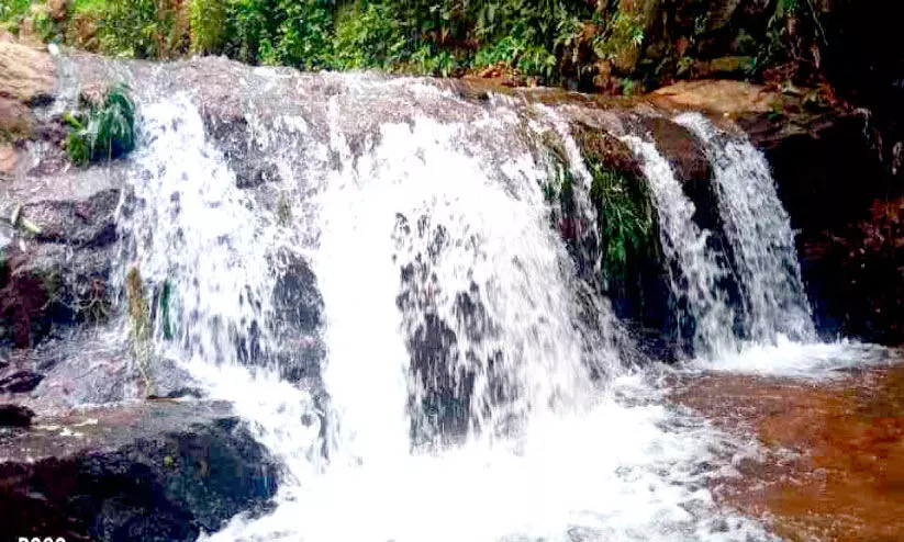 അഴകോടെ ഒഴുകുന്നു അഞ്ചാനിൽ വെള്ളച്ചാട്ടം