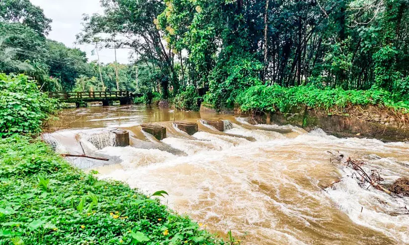 ഒറ്റ മഴയിൽ മറ്റക്കരയെ വെള്ളത്തിലാക്കും  പന്നഗം തോട്