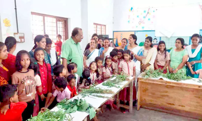 നാ​ട്ടു​പ​ച്ച​യി​ൽ ഔ​ഷ​ധ​സ​സ്യ​ങ്ങ​ളെ തൊ​ട്ട​റി​ഞ്ഞ് കു​രു​ന്നു​ക​ൾ