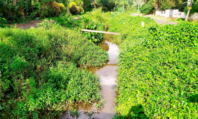 Matathur canal