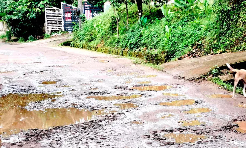 തൊട്ടിയാർ ജലവൈദ്യുതി പദ്ധതി വിനയായി; ദയ കാത്ത്​ ദേവിയാർ കോളനി റോഡ്