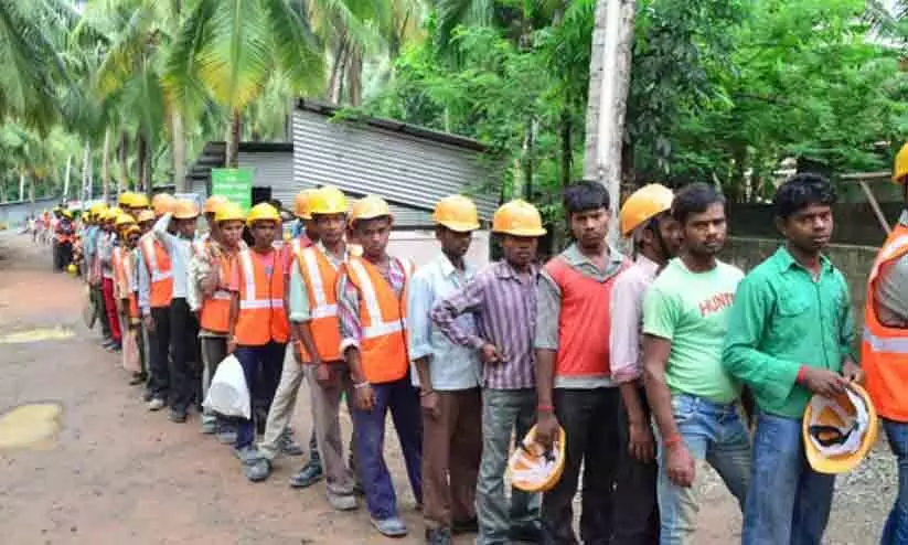 അതിഥി തൊഴിലാളികളുടെ രജിസ്ട്രേഷൻ പ്രവർത്തനങ്ങൾക്ക് ഇന്ന് തുടക്കമാകും