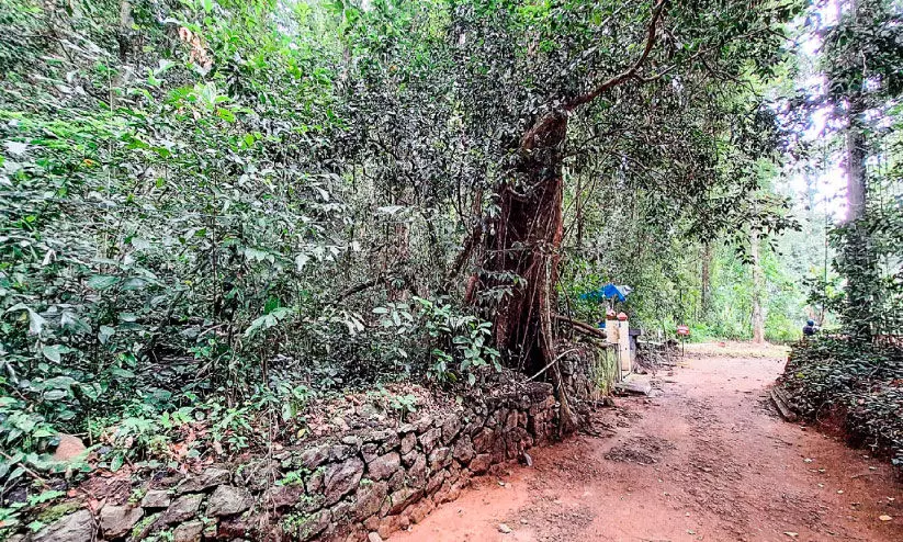 ജൈവ വൈവിധ്യ പൈതൃക കേന്ദ്രമാകാനൊരുങ്ങി അമരംകാവ്