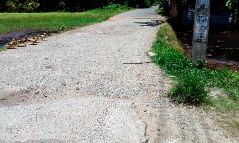 Wetamuk-Tamarakulam Road