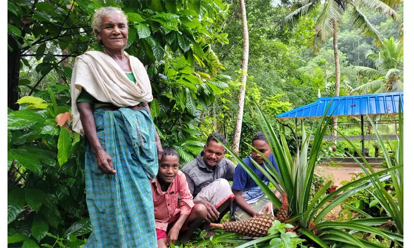 സസ്യജനിതക സംരക്ഷണത്തിന് ദേശീയ അവാർഡ് ഗോത്ര കർഷകയായ വിതുരയിലെ പരപ്പിക്ക്