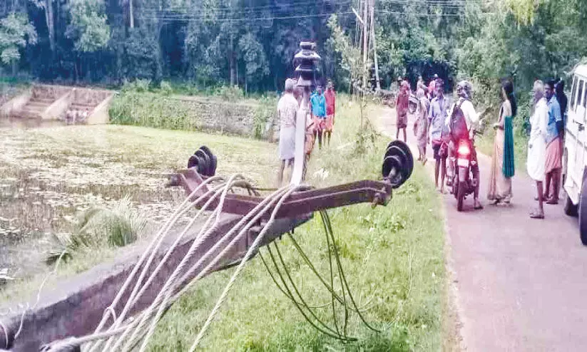 തെ​ങ്ങു​ം വൈ​ദ്യ​ുതി ലൈ​നും കു​ള​ത്തി​ലേ​ക്ക് പതിച്ചു​; ദു​ര​ന്തം ഒ​ഴി​വാ​യ​ത് ത​ല​നാ​രി​ഴ​ക്ക്