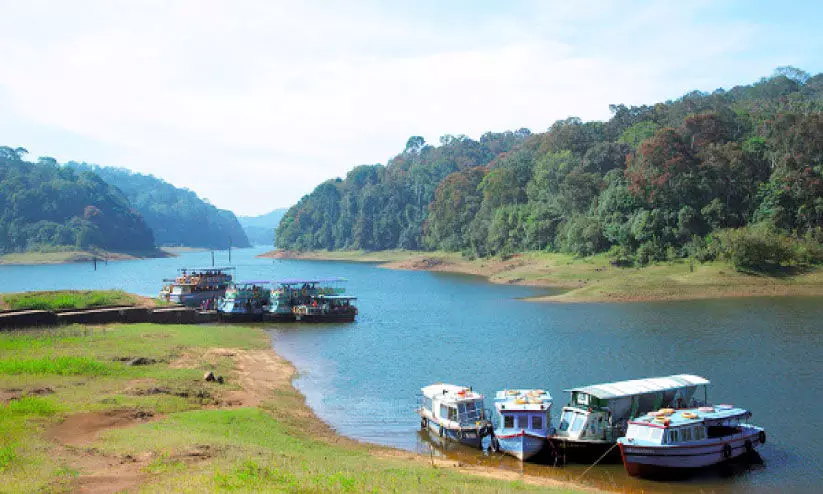 തേക്കടിയിൽ സഞ്ചാരികളുടെ തിരക്ക്