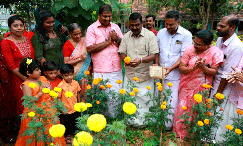 ജമന്തിപ്പൂവിന്റെ വർണ വസന്തമൊരുക്കി തൊളിക്കോട് യു.പി സ്‌കൂൾ