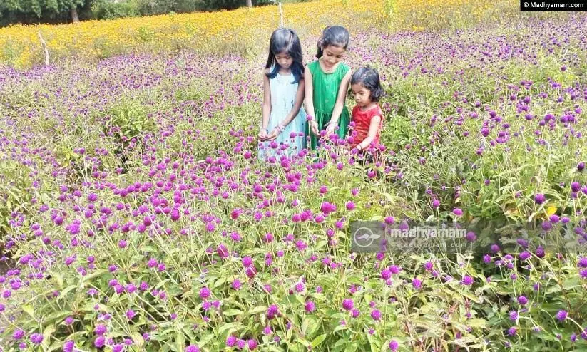 അത്തം തുടങ്ങി: പൂവിളികളുമായി ഇനി ഓണനാളുകൾ