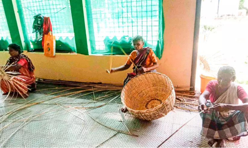 ഈറ്റ വ്യവസായം പിന്നാമ്പുറത്തേക്ക്​; തൊഴിലാളികൾ ദുരിതത്തിൽ