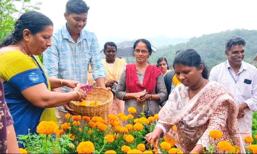 chendumally flower season