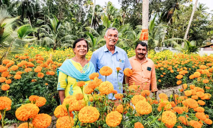 സുഷമകുമാരിയുടെ അധ്വാനം പൂവിട്ടു; കണ്ണും മനസ്സും നിറച്ച് ബന്ദി